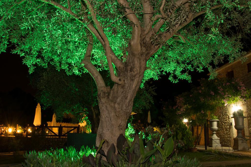 Finca Son Olive Сельва Экстерьер фото
